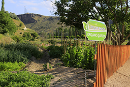 kapadokyahill_garden.jpg